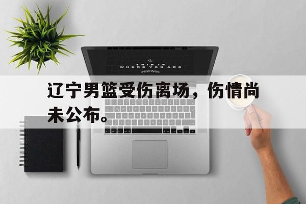 乐鱼体育-辽宁男篮受伤离场，伤情尚未公布。